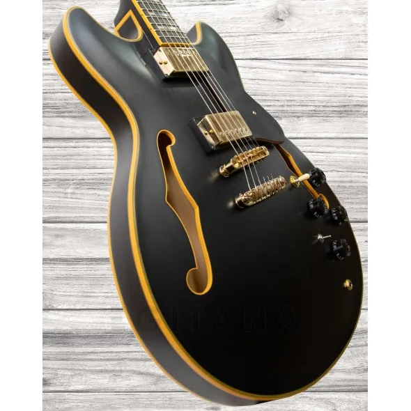 ibanez-jsm-20-black-low-gloss_5f5f8ba63172c.webp