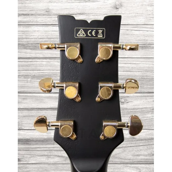 ibanez-jsm-20-black-low-gloss_5f69b37862a02.webp