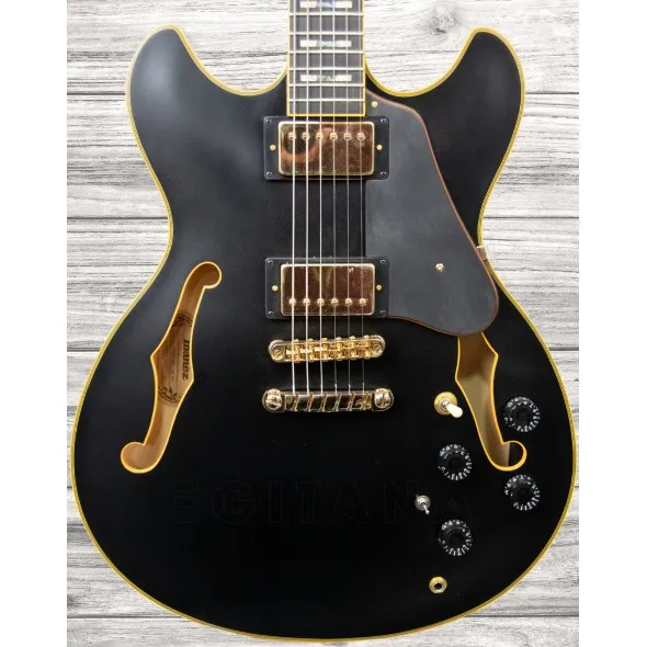 ibanez-jsm-20-black-low-gloss_5f69b37a4eda2.webp