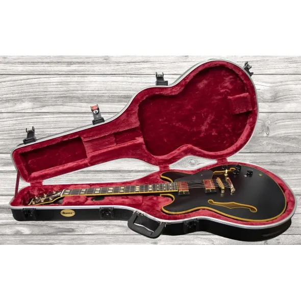 ibanez-jsm-20-black-low-gloss_5f69b37b467ec.webp