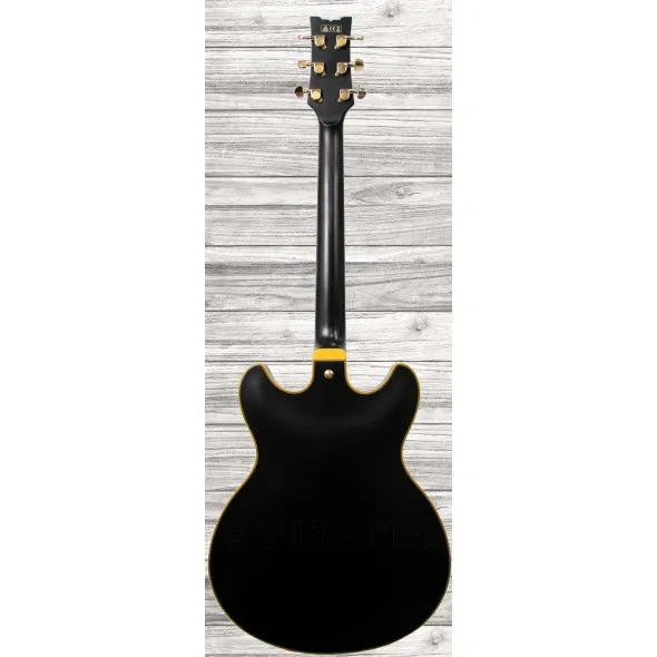 ibanez-jsm-20-black-low-gloss_5f69b37e48994.webp