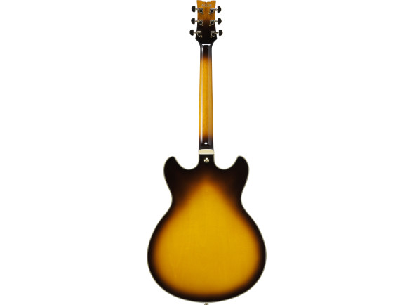 ibanez-jsm10em-ttb-john-scofield_67976e26a2675.jpg