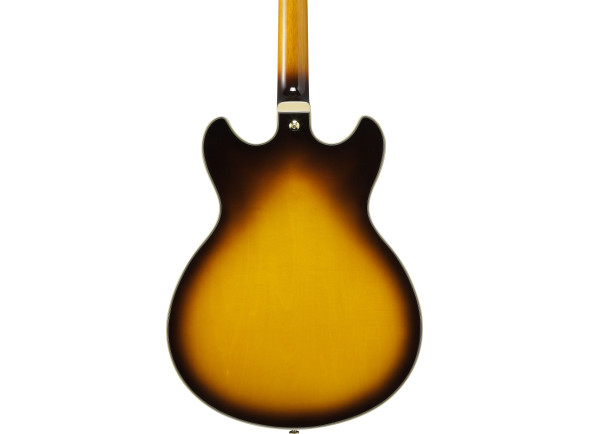 ibanez-jsm10em-ttb-john-scofield_67976e331b428.jpg
