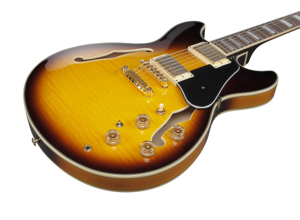 ibanez-jsm10em-ttb-john-scofield_67976e3725719.jpg