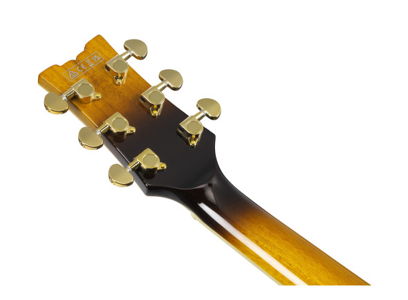 ibanez-jsm10em-ttb-john-scofield_67976e43d43eb.jpg