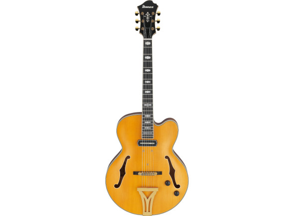 ibanez-pm3c-nal-pat-metheny_68650f6c24289.jpg
