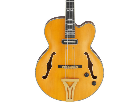 ibanez-pm3c-nal-pat-metheny_68650f7946738.jpg