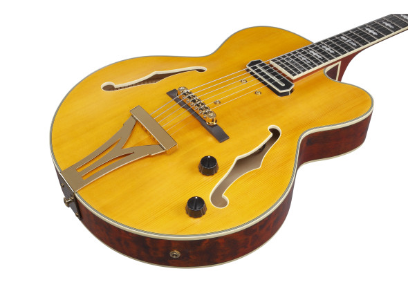 ibanez-pm3c-nal-pat-metheny_68650f810737a.jpg