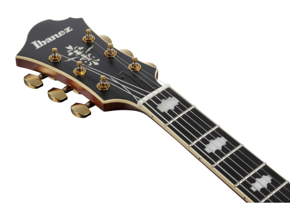 ibanez-pm3c-nal-pat-metheny_68650f88a84d7.jpg