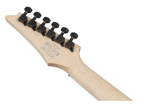ibanez-rg421dx-tws_696e446a068f0.jpg