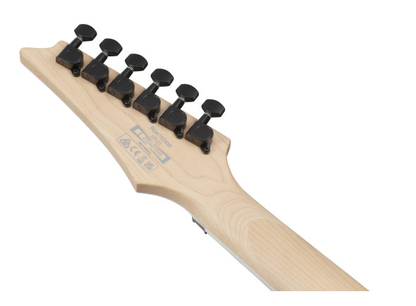 ibanez-rg470dxw-wzm_6981c20d6912a.jpg