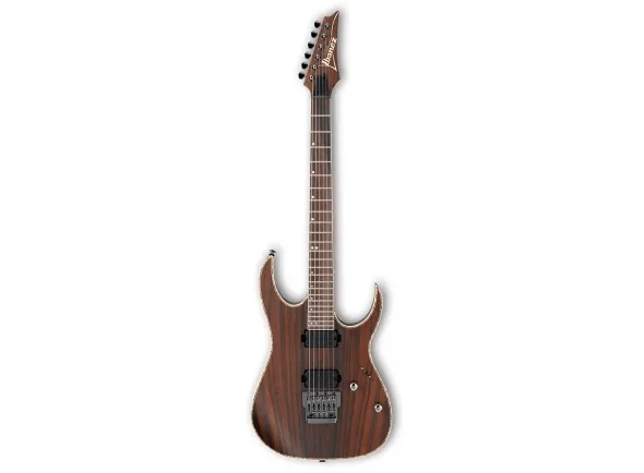 ibanez-rg721rw-charcoal-brown-flat_5de13b1734eb9.webp