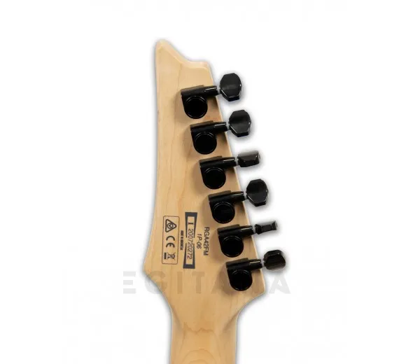 ibanez-rga42fm-blue-lagoon-burst-flat_5ff437a15eda8.webp