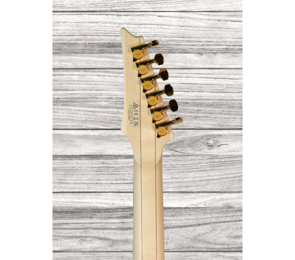 ibanez-rga622xh-bk_641832682fc8f.jpg