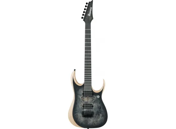 ibanez-rgdix6pb-skb-iron-label_5dc59acb7b994.webp
