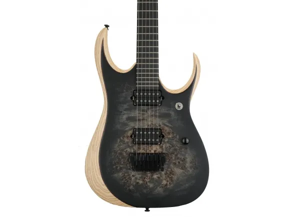 ibanez-rgdix6pb-skb-iron-label_5dc59acd198b4.webp
