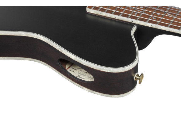 ibanez-sign-tim-henson-tod10nl-lh_67ea65f12dd0a.jpg
