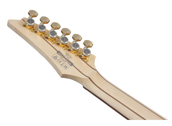ibanez-sml721-mam_679763496b6e3.jpg