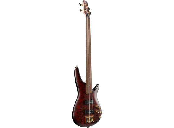 ibanez-sr300edx-wzm_6797654a38435.jpg