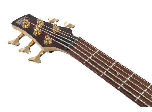 ibanez-sr305edx-wzm_679766b5d9b8c.jpg