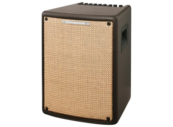 ibanez-t80ii-acoustic-combo_5c94b0002f38b.webp