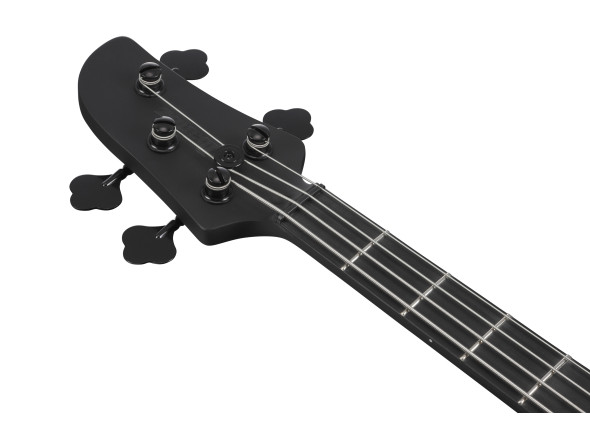 ibanez-tmb420b-bkf_67976a6dafacc.jpg