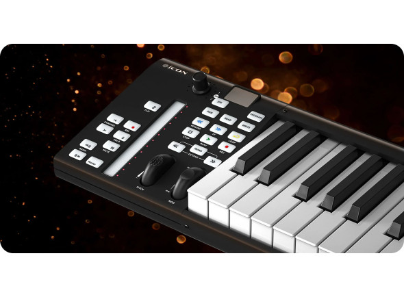 icon-pro-audio-artist-25x_6a2c070f24cf4.jpg