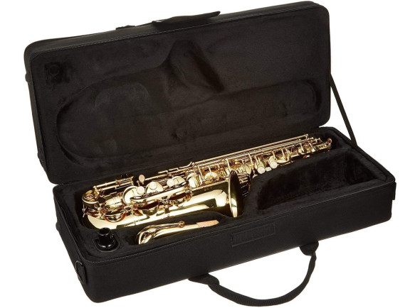 j-michael-sax-alto-al-500_697b2ae4012c1.jpg