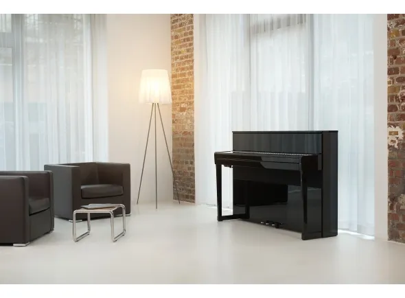 kawai-ca-99-ep_5eb27fc736a82.webp
