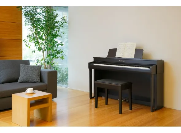 kawai-cn-39-r_5eb1937e25b02.webp