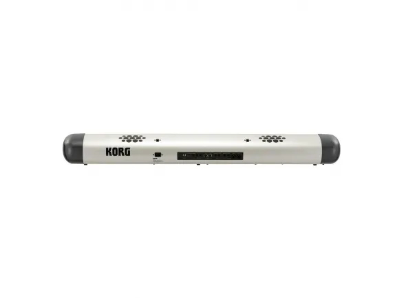 korg-sv2s_5e2ecb6045167.webp