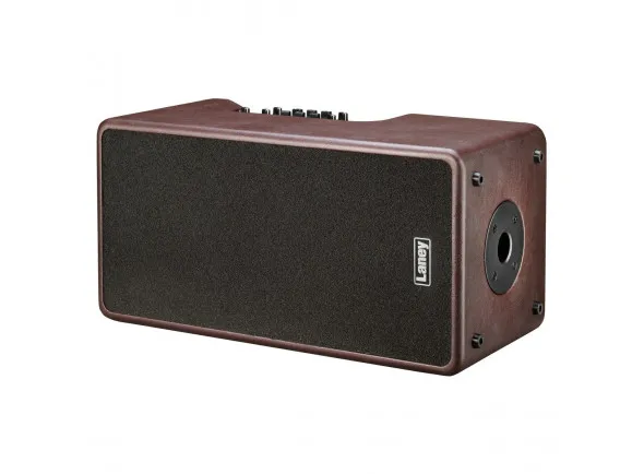 laney-a-duo_60db2cf831e72.webp