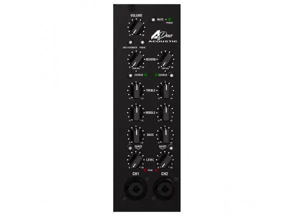 laney-a-duo_60db2cf998f7a.webp