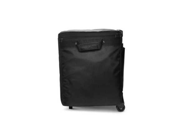 ld-systems-dave-10-g4x-bag-set_680a61c92d671.jpg